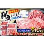 豚肉 ロース 3回定期便 冷蔵配送 地域 豚 瑞浪ボーノポーク
