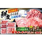 豚肉 ロース 6回定期便 冷蔵配送 地域 豚 瑞浪ボーノポーク