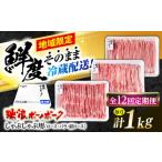 豚肉 ロース 12回定期便 冷蔵配送 地域 豚