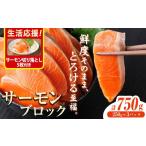 生食用 サーモン ブロック 計750g