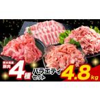 ふるさと納税 豚肉 バラ 熊本県 菊池市 豚肉 ひごの ポーク バラエティ セット 4.8kg 豚肉 しゃぶしゃぶ 切り落とし 豚ロース バラ 豚バラ スライス 以上 真空…