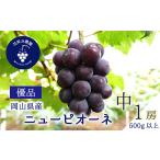 ぶどう 岡山 花笑み農園のニューピオーネ 500g以上