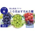 ぶどう 岡山 花笑み農園の10月 3種