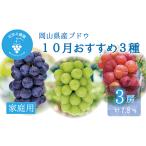 ぶどう 岡山 花笑み農園の10月 3種