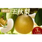 ふるさと納税 梨 鳥取県 北栄町  2026年1月頃発送 訳あり 王秋梨 3kg（3〜10玉前後） 梨 なし 王秋 おうしゅう 家庭用 訳アリ 3kg 果物 フルーツ おすすめ 人…