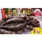 ふるさと納税 魚貝類 アワビ 岩手県 大船渡市 訳あり 天然あわび 約1kg 冷凍 鮑 あわび アワビ 鮑 Abalone ステーキ バターソテー 正月 お正月 おせち 刺し身 …