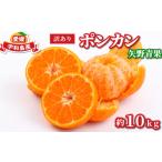 ふるさと納税 果物類 愛媛県 宇和島市  2026年1月中旬〜発送予定 訳あり ポンカン 10kg 矢野青果 わけあり 訳あり品 訳有り 訳アリ 愛媛みかん 愛媛ミカン み…