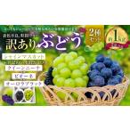 ぶどう マスカット 訳ありぶどう2種セット 約1kg