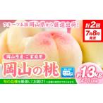 もも 2027年発送 桃 岡山の桃 約1.3kg×2回定期便