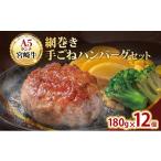 ふるさと納税 肉 ハンバーグ 愛知県 日進市 ハンバーグ A5ランク 宮崎牛 180g 12個 セット マ・メゾン 国産 冷凍ハンバーグ 工場直売 惣菜 No.5229-0951