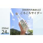 炭酸飲料 サイダー 内共通返礼品 ごろごろサイダー