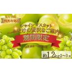 ふるさと納税 ぶどう マスカット 山梨県 都留市  期間限定 数量限定 シャインマスカット スペシャルサンクス約1.2kg（2〜3房） 2026年先行予約 | アズールヤー…