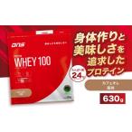 加工品等 DNS プロテインホエイ 100