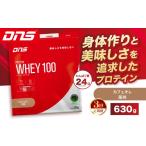 加工品等 定期便3回 DNS プロテインホエイ
