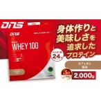 加工品等 定期便3回 DNS プロテインホエイ