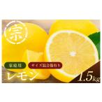宗方印 レモン 約1.5kg