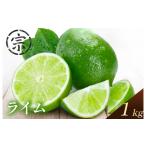 みかん 柑橘類 ライム 約1kg