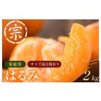 宗方印 はるみ 約2kg