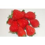 ふるさと納税 いちご 埼玉県 横瀬町 いちご「やよい姫」300g×2パック｜いちご イチゴ やよい姫 いちご あまい やよいひめ 小松沢レジャー農園 埼玉県 横瀬町