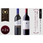 ふるさと納税 ワイン 赤ワイン 山形県 -  優雅で豊かな赤ワイン ５星受賞ワイナリーアワード 受賞 ワイナリー 『赤・フルボディ ワイン』2本セット 高畠ワイナ…