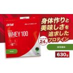加工品等 DNS プロテインホエイ 100