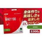 加工品等 DNS プロテインホエイ 100