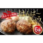 肉 ハンバーグ 菅乃屋×オオツカ コラボ はんば~ぎゅう