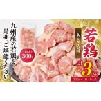ふるさと納税 鶏肉 モモ 熊本県 八代市  先行予約 九州産 若鶏 もも切身 合計3.0kg（300g×10袋） 肉 国産 鶏肉 とり肉 鶏もも肉 鳥もも肉 弁当 小分け パック…