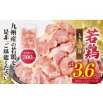 ショッピングふるさと納税 先行予約 ふるさと納税 鶏肉 モモ 熊本県 八代市  先行予約 九州産 若鶏 もも切身 合計3.6kg（300g×12袋） 肉 国産 鶏肉 とり肉 鶏もも肉 鳥もも肉 弁当 小分け パック…
