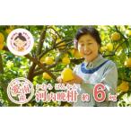 ふるさと納税 みかん�