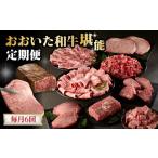 牛肉 ステーキ 毎月配送 おおいた和牛堪能