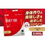 加工品等 DNS プロテインホエイ 100