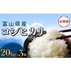 米 コシヒカリ 3回定期便 20kg