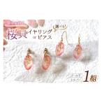 アクセサリー ピアス 石川能登 さくら貝 ピンク系