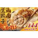 ふるさと納税 惣菜・レトルト 冷凍 神奈川県 藤沢市 餃子 ぎょうざ 144個 (48個 × 3 パック) 肉汁たっぷり 大きい 国産 ブランド豚 ルイビ豚 小分け 豚肉 野…