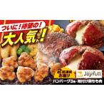 牛肉 ハンバーグ チョイス 全2回定期便 ジョイフル