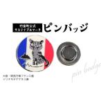 地域のお礼の品 カラー 公式サステナブルマークピンバッジ