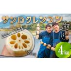 人参 大根 他根菜 4kg