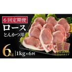 豚肉 ロース B611 産豚 ロースとんかつ用計1kg 100g×5枚×2