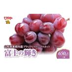 ふるさと納税 ぶどう マスカット 山形県 東根市  2026年度 ブラックシャインマスカット（富士の輝）650g以上 1房 千笑花夢提供 山形県 東根市 hi082-061