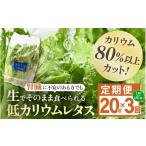 セット 詰合せ 定期便 3ヶ月連続お届け 機能性×美味しさ