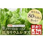 セット 詰合せ 訳あり 不揃い 機能性×美味しさ