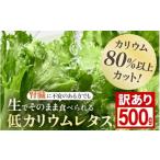セット 詰合せ 訳あり 不揃い 機能性×美味しさ