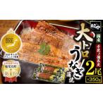 ふるさと納税 うなぎ 鹿児島県 鹿屋市  7営業日以内に発送 グランプリ受賞 大トロうなぎ蒲焼2尾セット 計350g 備長炭・職人手焼き 国産 鹿児島 人気 おすすめ …