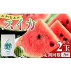 スイカ 中玉 2玉