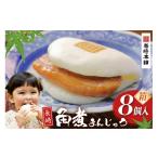 BJ023 岩崎本舗 長崎角煮まんじゅう 8個入