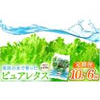 野菜類 定期便 6ヶ月連続お届け 美浜の水で育ったピュアレ…