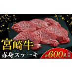 ふるさと納税 牛肉 ステーキ 宮崎県 小林市  訳あり 宮崎牛赤身ステーキ6枚 計600g（内閣総理大臣賞 A4 A5 宮崎牛 牛肉 黒毛和牛 赤身 ステーキ 訳あり 宮崎県…