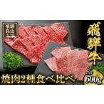 ふるさと納税 牛肉 焼肉・バーベキュー 岐阜県 高山市 飛騨高山の誇り 飛騨牛焼肉 リブロース＆モモ合計600g 2〜4人前　｜飛騨牛 ブランド 焼肉セット 黒毛和…