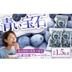 急速冷凍ブルーベリー 計約1.5kg 約500g×3袋